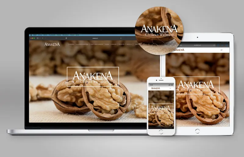 Anakena desarrollado por Marcela Peña - Diseño Gráfico, Producción e Informática