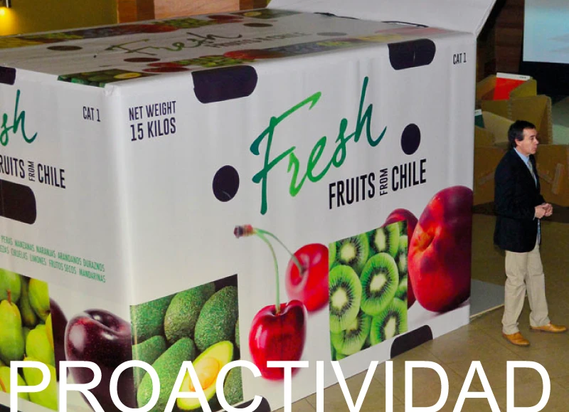 Proactividad - Marcela Peña - Diseño Gráfico, Producción e Informática