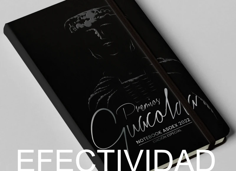 Efectividad Marcela Peña - Diseño Gráfico, Producción e Informática