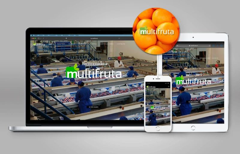 multifruta Marcela Peña - Diseño Gráfico, Producción e Informática